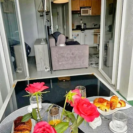 Appartement Grand Studio, Coin Nuit Séparé, Terrasse Et Garage Privatif *