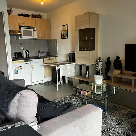 Grand Studio, Coin Nuit Séparé, Terrasse Et Garage Privatif Appartement Royan