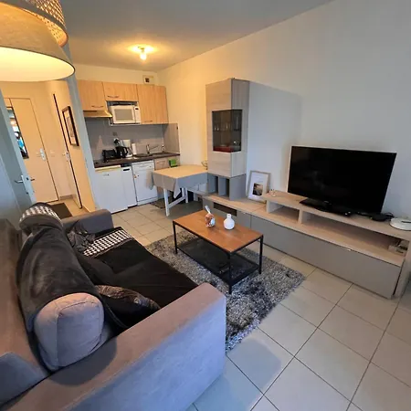 Appartamento Grand Studio, Coin Nuit Séparé, Terrasse Et Garage Privatif