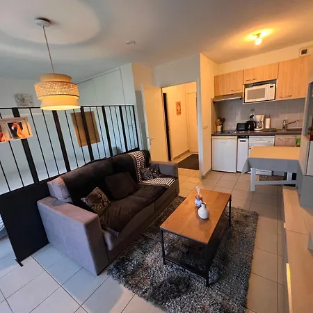 Grand Studio, Coin Nuit Séparé, Terrasse Et Garage Privatif